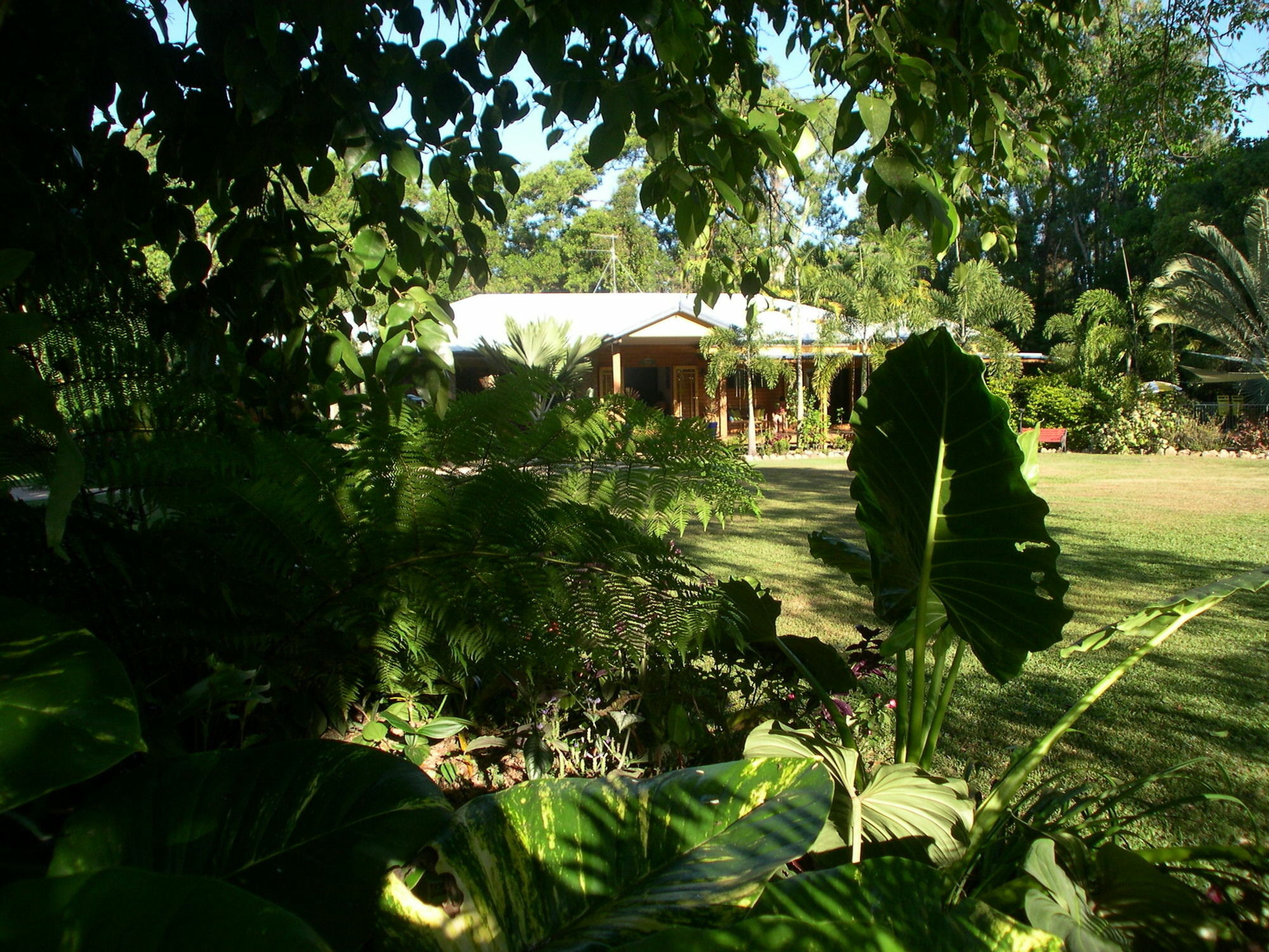 Hibiscus Lodge Bed & Breakfast Wongaling Beach Luaran gambar